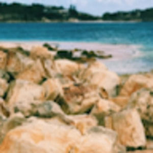 Meet your Posher, Ella